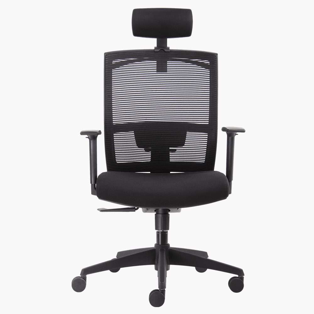 Toto H 辦公椅| 升降高背人體工學電腦辦公椅| Freemax – Freemax - The 