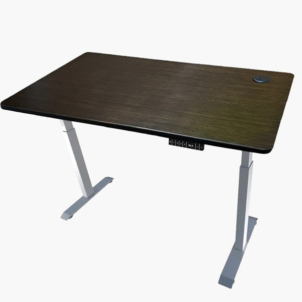 Bamboo Desktop Standing Desk