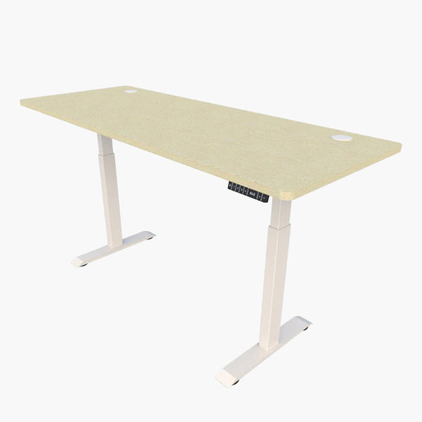 A6-N3 Plus Standing Desk