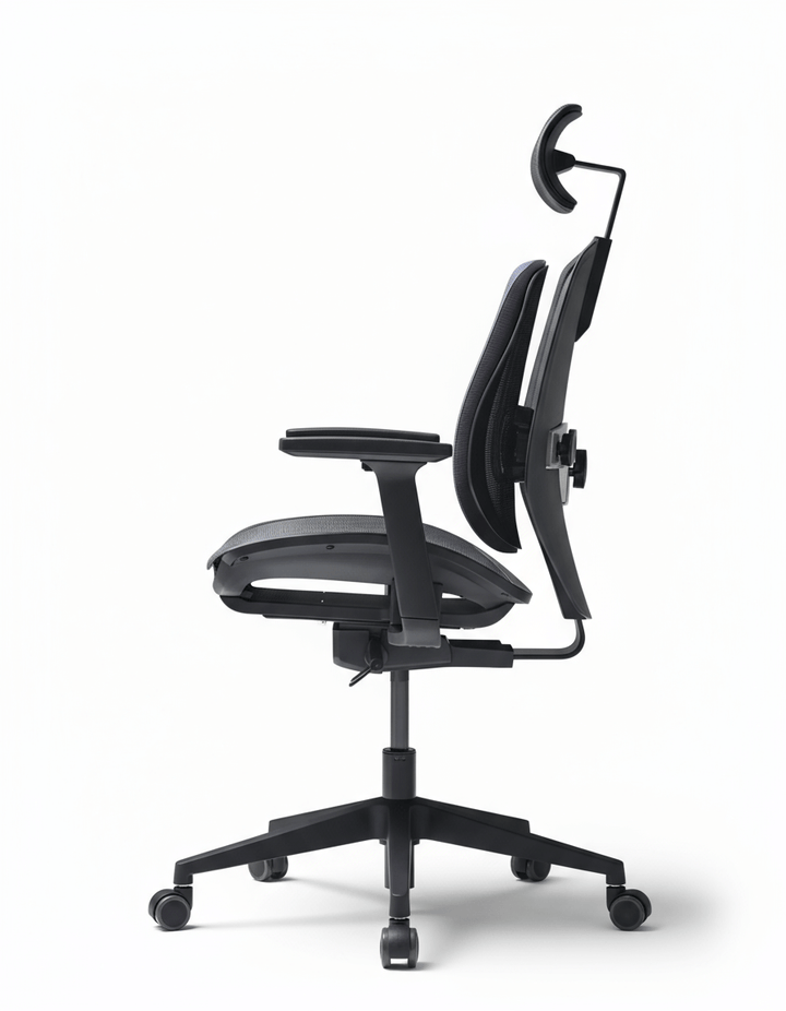 Alpha - 人體工學椅 - Freemax - The Body Solution