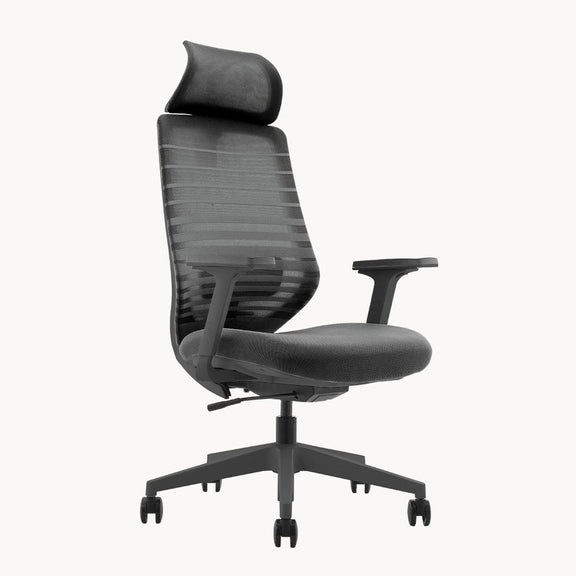 Lena-H Ergonomic Office High Back Chair | Freemax â Freemax - The Body Solution